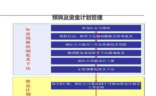 龙湖企业管理与运营的精细化管理策略