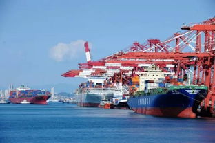 报关企业 vs. 进出口货物收发货人 理清角色，保障货物高效通关