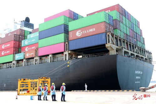 5月份山东外贸进出口创历史新高，货物贸易表现强劲