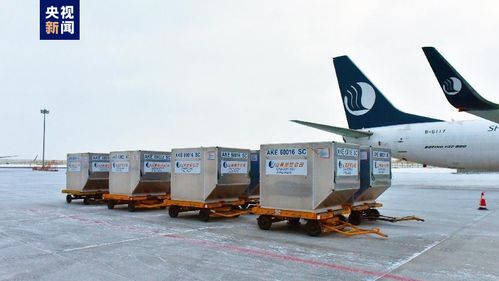 新疆首条定期国际货运航线正式通航，年货运吞吐量预计达3000吨
